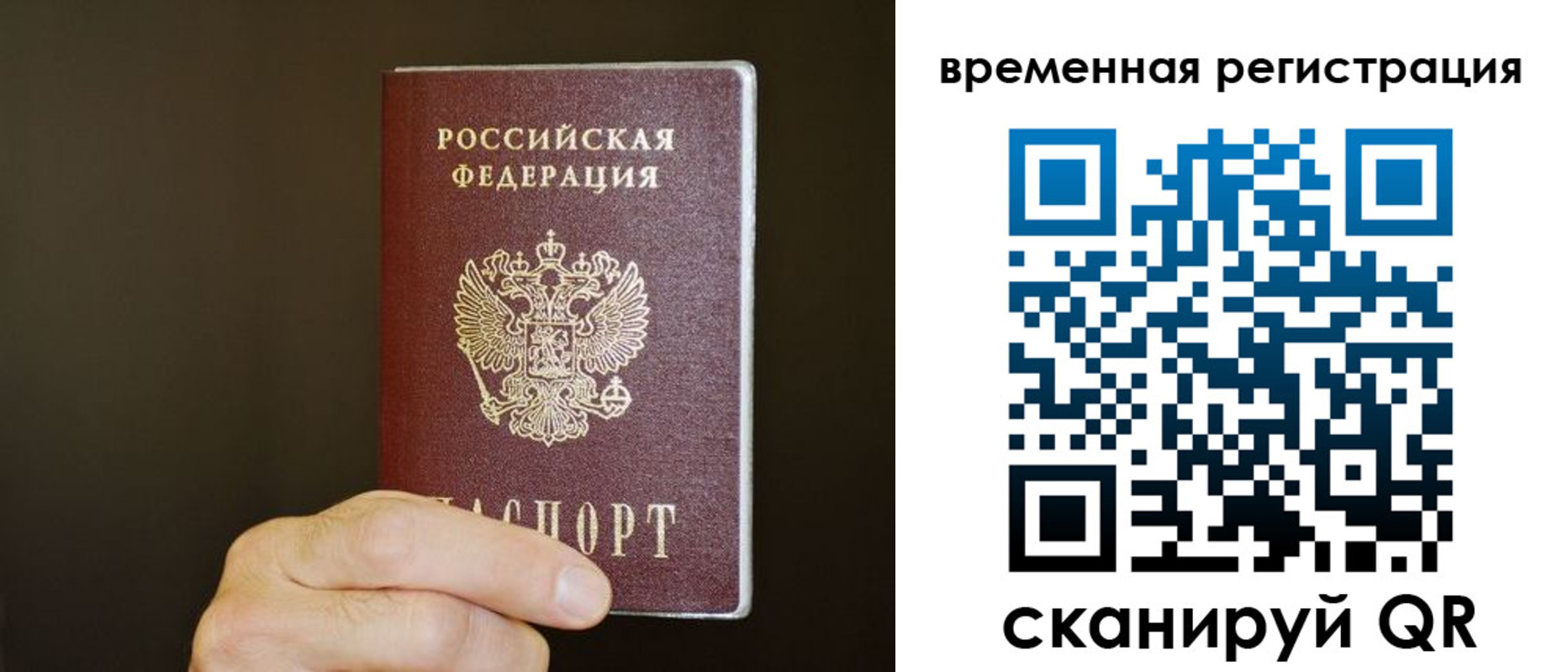прописка гарантия в Заинске